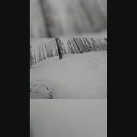 Shred Grip